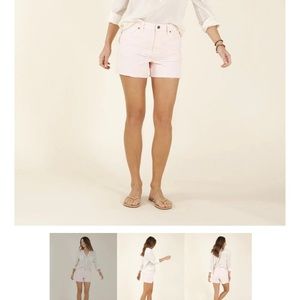 Carve Designs Oahu Shorts in Azalea